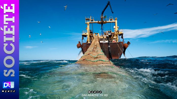 Contrat de pêche : La tutelle prolonge de 15 jours les navires battant pavillon Sénégal