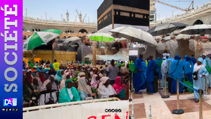 Hajj 2024: 11 décès, 1 disparition et 6% de taux de retards (Bilan MITTA) Hajj 2024: 11 décès, 1 disparition et 6% de taux de retards (Bilan MITTA)