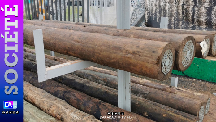 Vol de 30 poteaux électrique : Un vaste réseau écroué à Sagatta Vol de 30 poteaux électrique : Un vaste réseau écroué à Sagatta