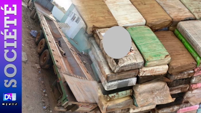 Douanes: Nouvelle saisie de 338 plaquettes de cocaïne d'une contrevaleur de 29 milliards 203 millions de francs CFA. Douanes: Nouvelle saisie de 338 plaquettes de cocaïne d'une contrevaleur de 29 milliards 203 millions de francs CFA.