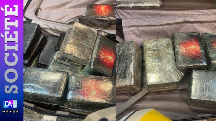 AIBD: Nouvelle saisie de 36 plaquettes de cocaïne d’une contrevaleur de 3 milliards 200 millions de francs CFA AIBD: Nouvelle saisie de 36 plaquettes de cocaïne d’une contrevaleur de 3 milliards 200 millions de francs CFA