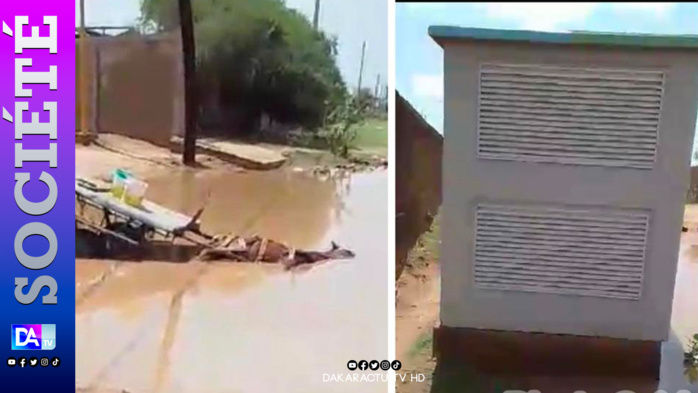 TOUBA - Un poste électrique donne la mort à un cheval et menace tous les autres passants TOUBA - Un poste électrique donne la mort à un cheval et menace tous les autres passants