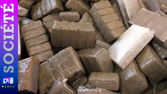 Trafic de drogue - Guédiawaye : La BIP et l’Ocrtis démantèlent « une maison du crack », 11 personnes interpellées Trafic de drogue - Guédiawaye : La BIP et l’Ocrtis démantèlent « une maison du crack », 11 personnes interpellées