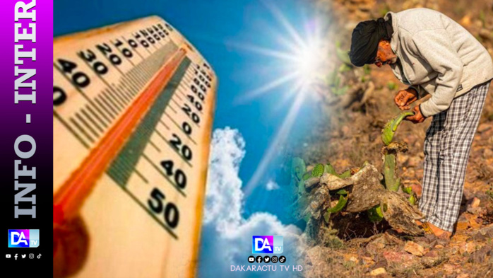 Nouvelle vague de chaleur au Maroc, 21 morts en 24H Nouvelle vague de chaleur au Maroc, 21 morts en 24H