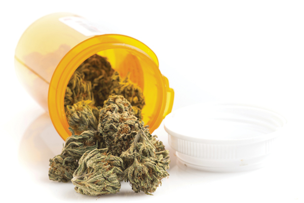 Cannabis médical : pétard mouillé ?