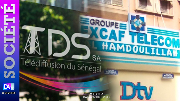 Privé de l’exploitation commerciale du TNT : Le Groupe Excaf compte ester en justice contre TDS / SA Privé de l’exploitation commerciale du TNT : Le Groupe Excaf compte ester en justice contre TDS / SA