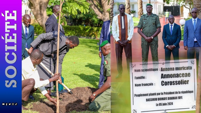 Journée Nationale de l'Arbre : Touba va accueillir la cérémonie officielle Journée Nationale de l'Arbre : Touba va accueillir la cérémonie officielle