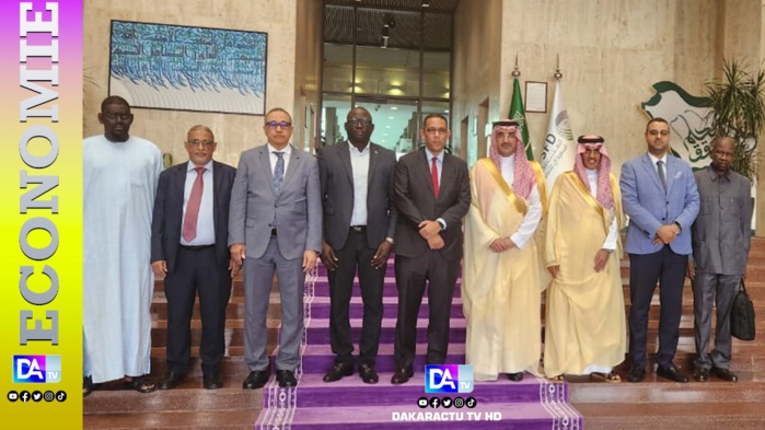 Délégation de l'OMVS en Arabie Saoudite : les autorités saoudiennes favorables à la réalisation du projet hydroélectrique du barrage de Gourbassi Délégation de l'OMVS en Arabie Saoudite : les autorités saoudiennes favorables à la réalisation du projet hydroélectrique du barrage de Gourbassi