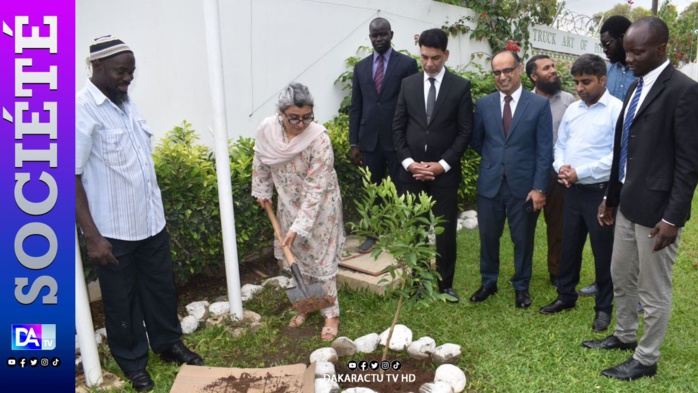 Journée Nationale de l'Arbre : l'Ambassadrice du Pakistan au Sénégal a planté son "oranger" symbole de relations fraternelles bilatérales Journée Nationale de l'Arbre : l'Ambassadrice du Pakistan au Sénégal a planté son "oranger" symbole de relations fraternelles bilatérales
