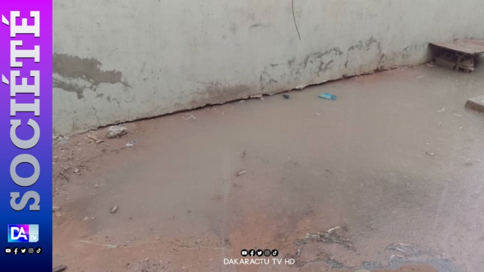 Linguère: Le retour de la pluie crée un soulagement chez les paysans Linguère: Le retour de la pluie crée un soulagement chez les paysans