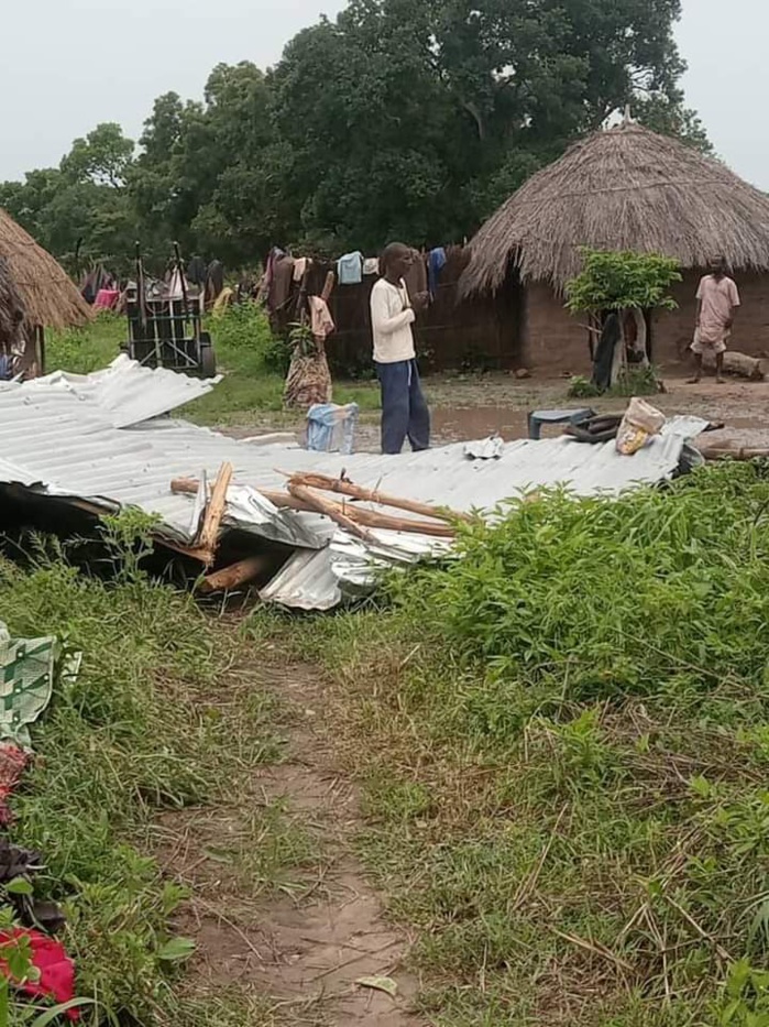 KOLDA : La pluie de la nuit dernière a fait d'innombrables dégâts dans la région...des blessés... KOLDA : La pluie de la nuit dernière a fait d'innombrables dégâts dans la région...des blessés...