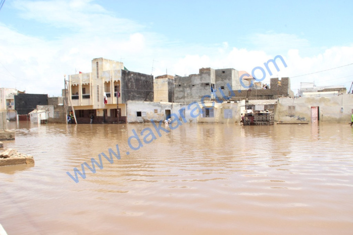 Fortes pluies à Dakar, la banlieue inondée : Thiaroye, Pikine et Guédiawaye sous les eaux... (images) Fortes pluies à Dakar, la banlieue inondée : Thiaroye, Pikine et Guédiawaye sous les eaux... (images)