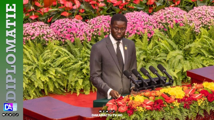 Chine/Focac 2024 : Co-président, le Sénégal salue cette plateforme innovante qui favorise des partenariats dynamiques Chine/Focac 2024 : Co-président, le Sénégal salue cette plateforme innovante qui favorise des partenariats dynamiques