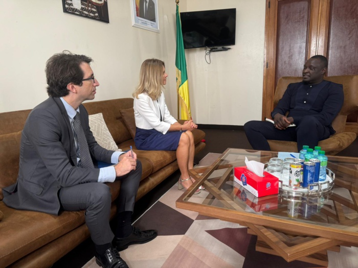 Procédures de demande de visas laborieuses : Ce qui a été décidé avec la Consule Générale de France à Dakar Procédures de demande de visas laborieuses : Ce qui a été décidé avec la Consule Générale de France à Dakar