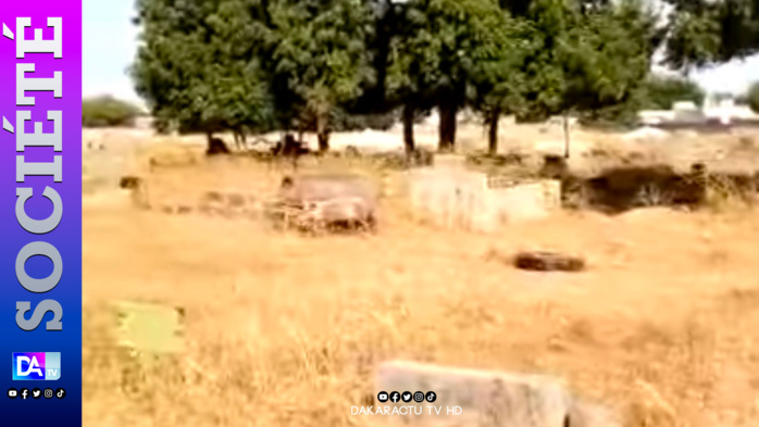 ACCIDENT DE NDIAMAL- Identification impossible pour les 16 victimes inhumées cet après-midi à Kër Gumak sur ndigël du Khalife des Mourides ACCIDENT DE NDIAMAL- Identification impossible pour les 16 victimes inhumées cet après-midi à Kër Gumak sur ndigël du Khalife des Mourides