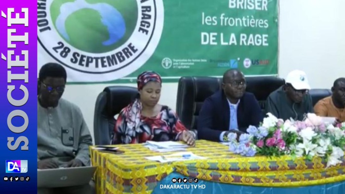 Journée mondiale de la rage : 232 chiens abattus à Ziguinchor, une centaine de morsures notées Journée mondiale de la rage : 232 chiens abattus à Ziguinchor, une centaine de morsures notées