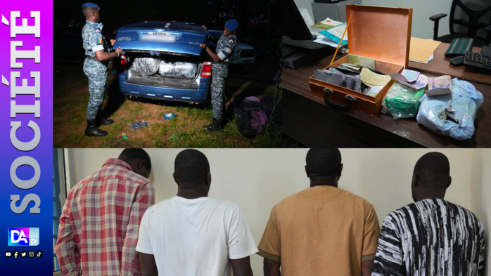 Lutte contre le trafic : la gendarmerie opère et saisit 500 kg de chanvre indien et des faux billets à Keur Massar. Lutte contre le trafic : la gendarmerie opère et saisit 500 kg de chanvre indien et des faux billets à Keur Massar.