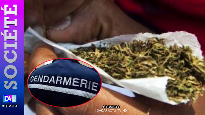 Démantèlement d’un réseau de trafic : Une femme arrêtée pour avoir livré du chanvre indien à un Gendarme Démantèlement d’un réseau de trafic : Une femme arrêtée pour avoir livré du chanvre indien à un Gendarme