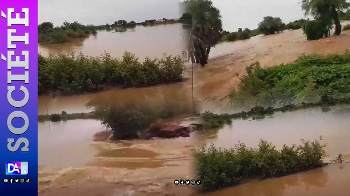 Débordement du fleuve Sénégal : La coalition « Sopi Sénégal » invite le gouvernement à déclencher le plan ORSEC Débordement du fleuve Sénégal : La coalition « Sopi Sénégal » invite le gouvernement à déclencher le plan ORSEC