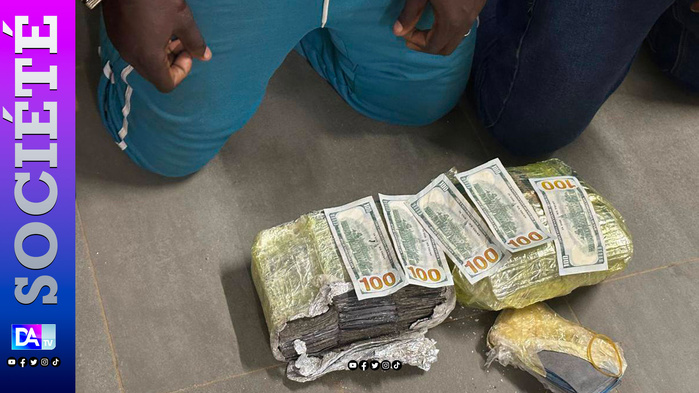 Faux monnayage : la Brigade de Keur Massar déjoue un plan de contrebandiers et saisit plus de 2 milliards FCFA Faux monnayage : la Brigade de Keur Massar déjoue un plan de contrebandiers et saisit plus de 2 milliards FCFA