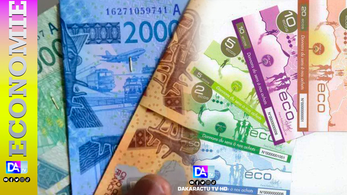Du franc CFA à l’ECO: Quels véritables changements attendus ? ( Économistes ) Du franc CFA à l’ECO: Quels véritables changements attendus ? ( Économistes )