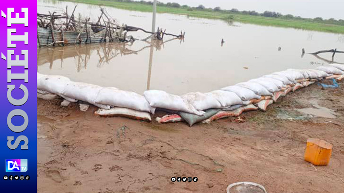 Crue du fleuve sénégal - Sa femme et ses enfants délogés par les inondations: Un bakelois résidant à Thiès laisse tout derrière lui pour aller au chevet de sa famille Crue du fleuve sénégal - Sa femme et ses enfants délogés par les inondations: Un bakelois résidant à Thiès laisse tout derrière lui pour aller au chevet de sa famille
