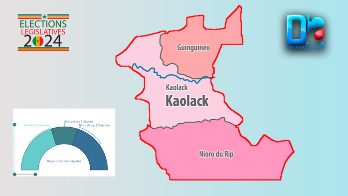 [INFOGRAPHIE] Sénégal/Législatives 2024 : Visualisez les résultats provisoires de la région de Kaolack