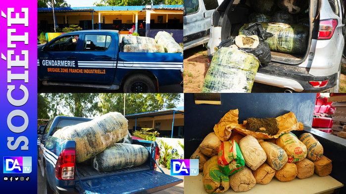 Saisie spectaculaire de chanvre indien à Keur Massar : 667 kg de stupéfiants interceptés par la Brigade de Zone Franche Industrielle Saisie spectaculaire de chanvre indien à Keur Massar : 667 kg de stupéfiants interceptés par la Brigade de Zone Franche Industrielle