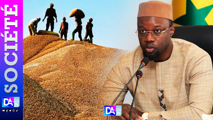 Sénégal-Campagne de commercialisation de l'arachide : le gouvernement fixe le prix du kg de l'arachide à 305 Fcfa. Sénégal-Campagne de commercialisation de l'arachide : le gouvernement fixe le prix du kg de l'arachide à 305 Fcfa.