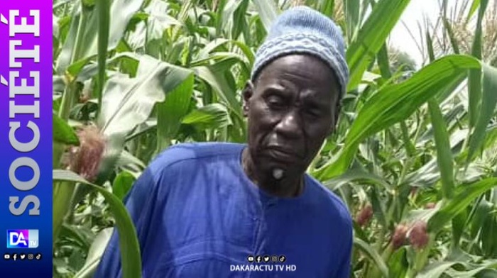 Linguère/Campagne agricole  2024- 2025:  le prix du kg d’arachide fixé à 305f, les paysans attendaient plus Linguère/Campagne agricole  2024- 2025:  le prix du kg d’arachide fixé à 305f, les paysans attendaient plus