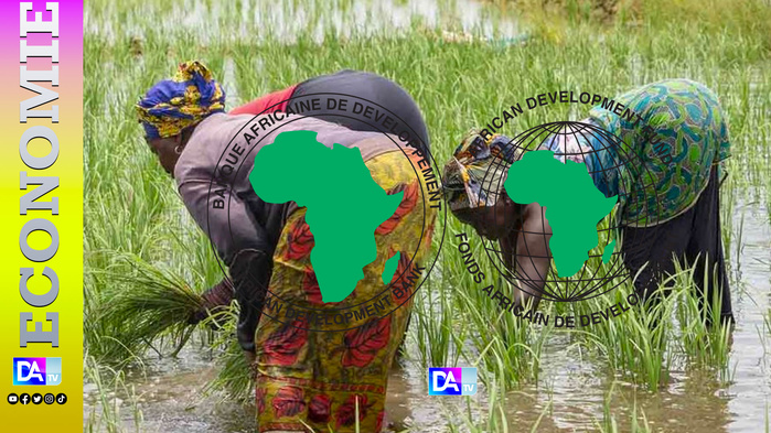 Sénégal – Augmentation des productions agricoles, les emplois et les revenus : la BAD débloque plus de 55 millions d’euros. Sénégal – Augmentation des productions agricoles, les emplois et les revenus : la BAD débloque plus de 55 millions d’euros.