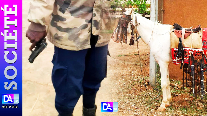 Cheval, pistolet et trahison : le procès explosif d’un fils contre son père à Linguère Cheval, pistolet et trahison : le procès explosif d’un fils contre son père à Linguère