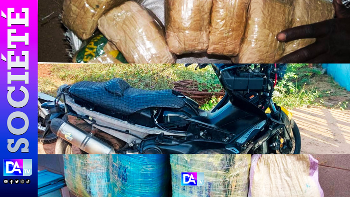 Course-poursuite contre la drogue : 127 kilos de chanvre interceptés par la gendarmerie Course-poursuite contre la drogue : 127 kilos de chanvre interceptés par la gendarmerie