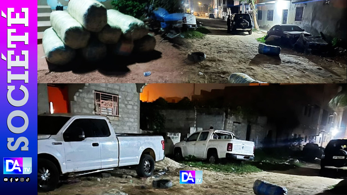 286 kg de chanvre indien saisis : la gendarmerie frappe un grand coup dans la lutte contre le trafic de drogue 286 kg de chanvre indien saisis : la gendarmerie frappe un grand coup dans la lutte contre le trafic de drogue