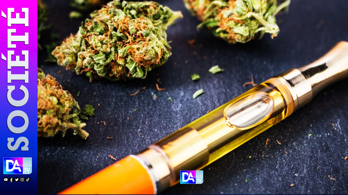 Quand le e-cannabis infiltre Dakar : L’Ocrtis démantèle un réseau international inédit Quand le e-cannabis infiltre Dakar : L’Ocrtis démantèle un réseau international inédit