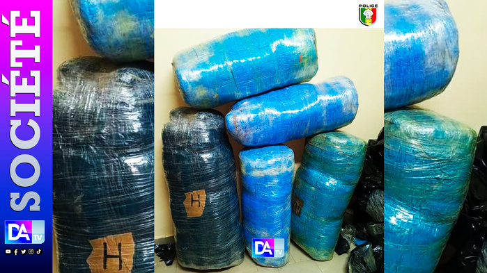 185 kg de chanvre indien saisis à Géréo : un coup de filet nocturne de la BRS 185 kg de chanvre indien saisis à Géréo : un coup de filet nocturne de la BRS