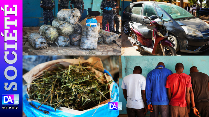 Lutte contre le trafic de drogue : la gendarmerie met hors d’état de nuire une bande de trafiquants, 480 kilogrammes de chanvre indien saisis Lutte contre le trafic de drogue : la gendarmerie met hors d’état de nuire une bande de trafiquants, 480 kilogrammes de chanvre indien saisis