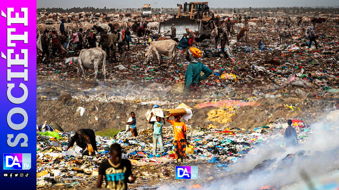 La délocalisation de Mbeubeuss : Un défi coûteux à 99,3 millions de Dollars pour le projet PROMOGED La délocalisation de Mbeubeuss : Un défi coûteux à 99,3 millions de Dollars pour le projet PROMOGED