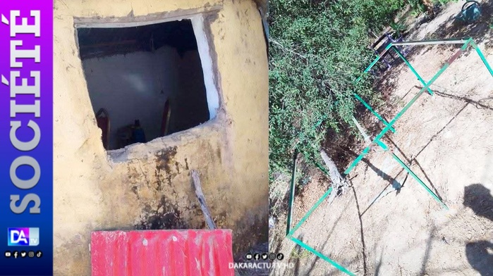 KOLDA : La ferme « vision verte » victime de vol… KOLDA : La ferme « vision verte » victime de vol…