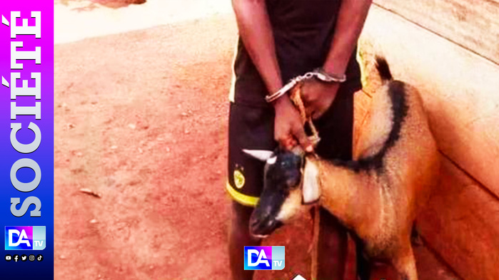 Terreur à Sandiara : Un Voleur de Bétail Sectionne une Main et Déchaîne la Colère des Villageois Terreur à Sandiara : Un Voleur de Bétail Sectionne une Main et Déchaîne la Colère des Villageois