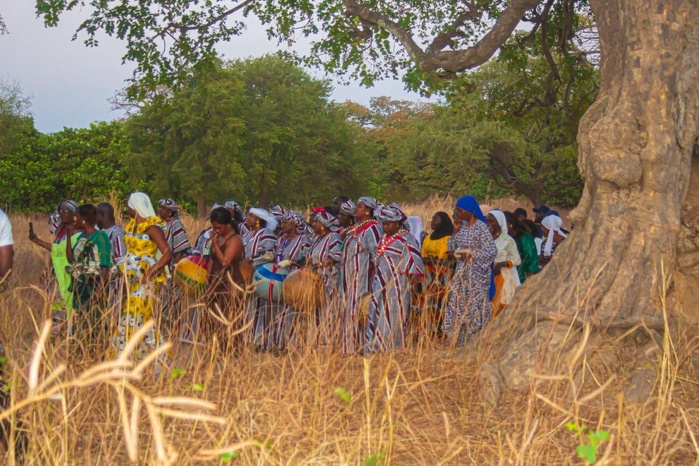 Festival des rythmes sérères de Thialane : une immersion culturelle et un appel contre l'immigration clandestine