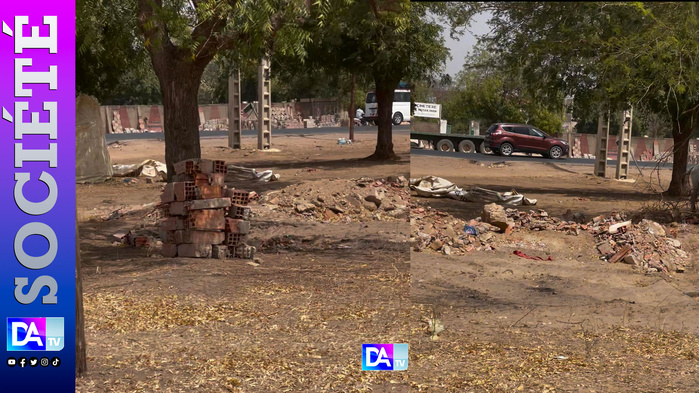 Kaolack – Destruction d’arbres et de bâtiments sur une propriété privée pour les besoins de la Journée Nationale de l’Élevage : les héritiers de feu Abdou Khadre Kébé interpellent les autorités Kaolack – Destruction d’arbres et de bâtiments sur une propriété privée pour les besoins de la Journée Nationale de l’Élevage : les héritiers de feu Abdou Khadre Kébé interpellent les autorités