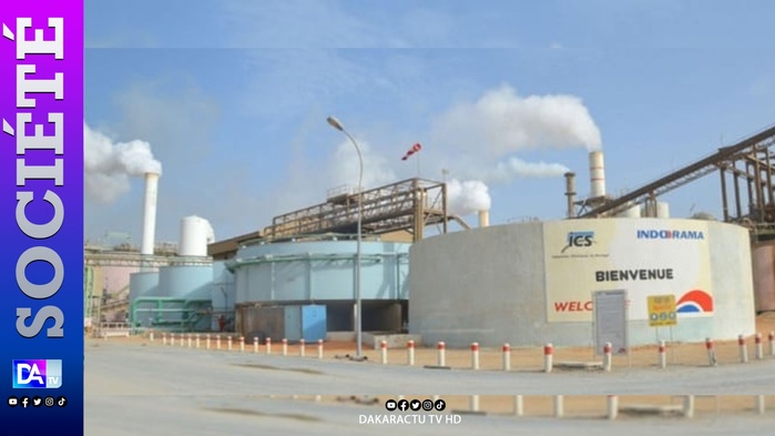 ICS : Quand un Fleuron de l’Économie Sénégalaise Se Perd dans les Abysses des Paradis Fiscaux ICS : Quand un Fleuron de l’Économie Sénégalaise Se Perd dans les Abysses des Paradis Fiscaux