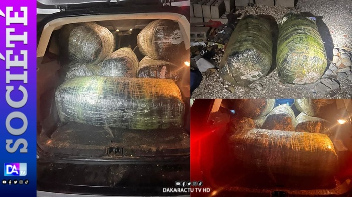 Lutte antidrogue : la gendarmerie met la main sur un trafiquant en fuite Lutte antidrogue : la gendarmerie met la main sur un trafiquant en fuite