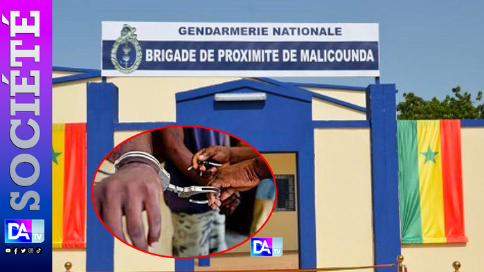 Litige foncier, violences et vidéo compromettante : Trois “Thiantacônes” violentent un homme, filment le commandant de la gendarmerie et se partagent la vidéo Litige foncier, violences et vidéo compromettante : Trois “Thiantacônes” violentent un homme, filment le commandant de la gendarmerie et se partagent la vidéo
