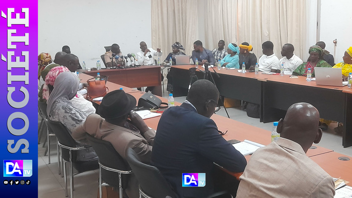 Thiès : Réforme du Conseil national de la Jeunesse du Sénégal : Vers la création du "Conseil Consultatif des Jeunes du Sénégal" (CCJS)