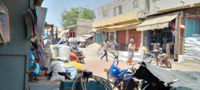 Ramadan à Kolda : Le calvaire des veuves, des mères célibataires et des divorcées Ramadan à Kolda : Le calvaire des veuves, des mères célibataires et des divorcées