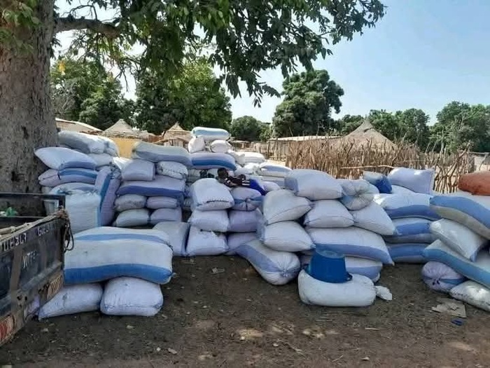 Thietty (Kolda) : Le cri de cœur des producteurs pour l’écoulement de leur production arachidière Thietty (Kolda) : Le cri de cœur des producteurs pour l’écoulement de leur production arachidière