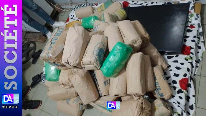 Parcelles Assainies : Un trafiquant pris la main dans le sac…66 Kilogrammes de Chanvre Indien Découverts ! Parcelles Assainies : Un trafiquant pris la main dans le sac…66 Kilogrammes de Chanvre Indien Découverts !