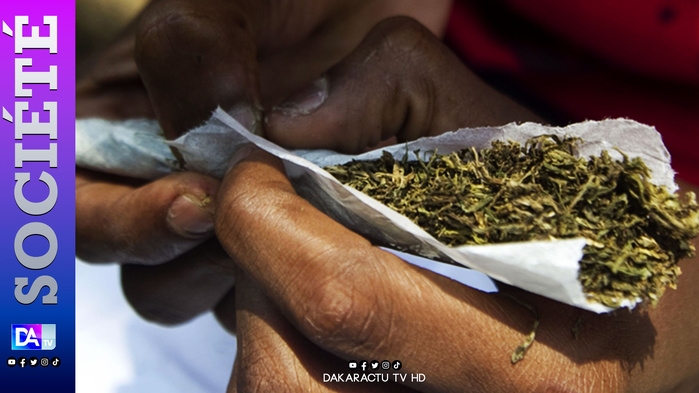 Thiès/ Ndogou, Yamba et Prison: Trois amis piégés par leur addiction Thiès/ Ndogou, Yamba et Prison: Trois amis piégés par leur addiction